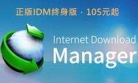 正版IDM下载器，双11超大优惠，终身版最低105元起