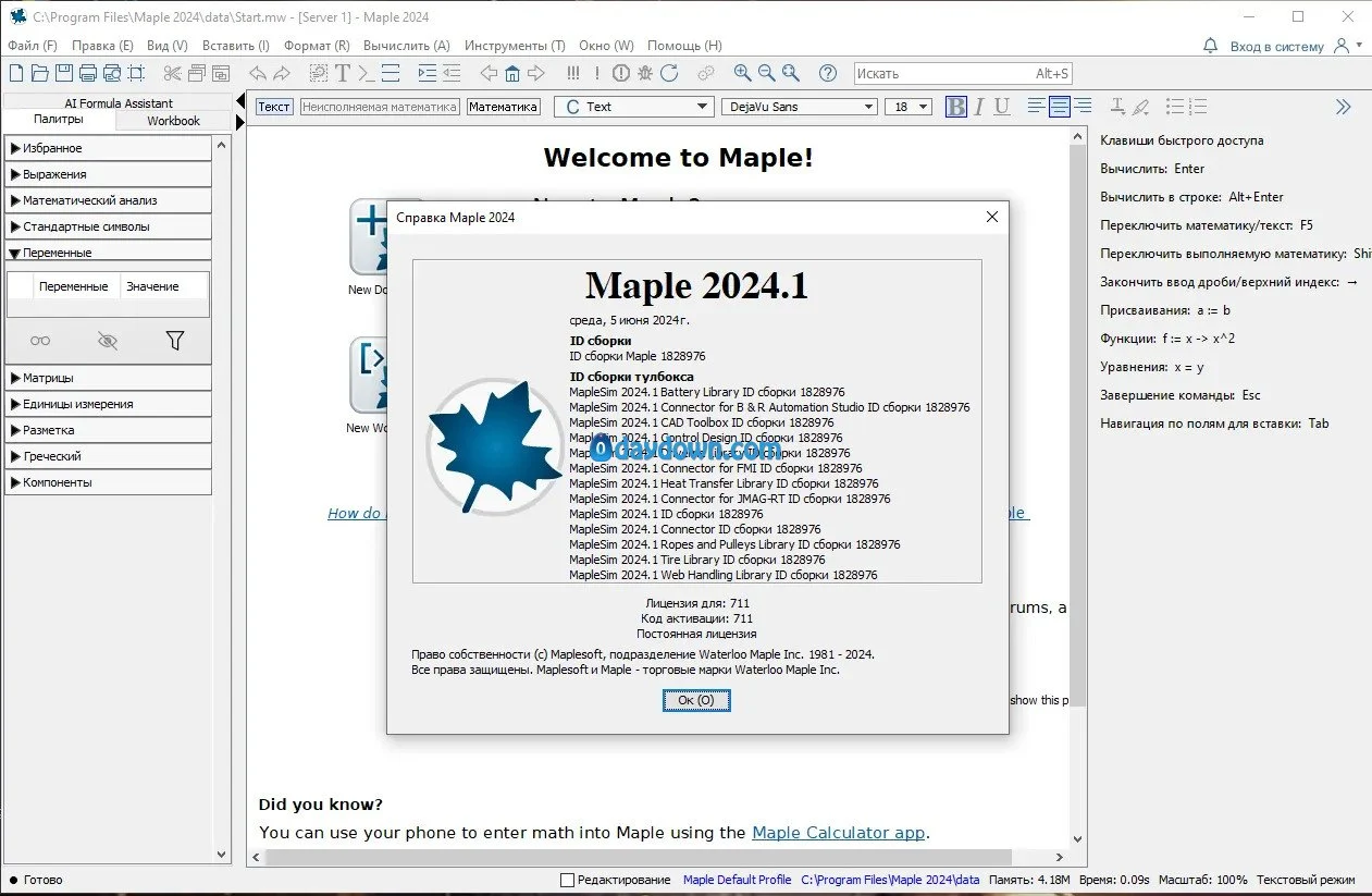 Maplesoft Maple2024界面